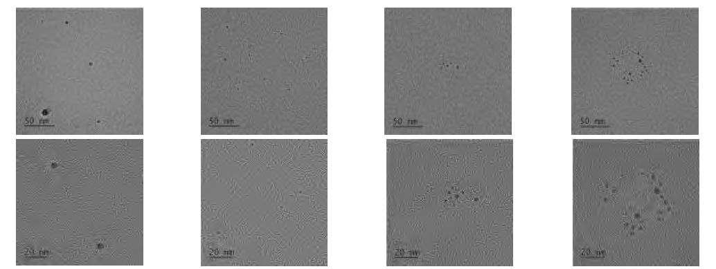 전분-은 나노입자 복합물질의 TEM 분석