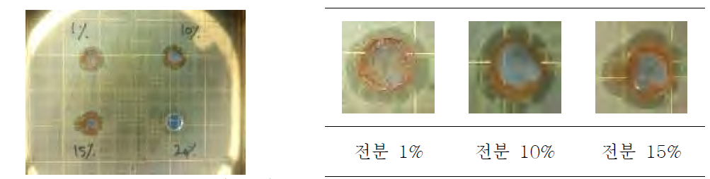 전분을 활용하여 제조한 전분-은 복합물질의 E. coli에 대한 Inhibition zone 평가