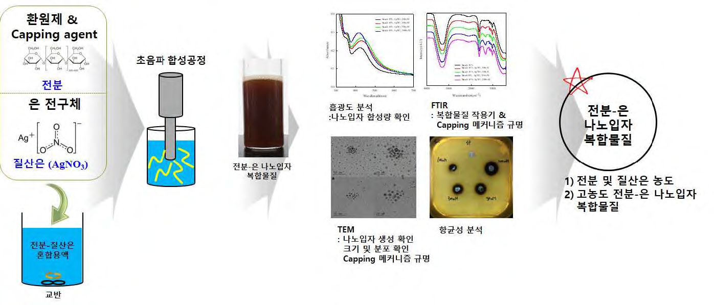 초음파 합성법을 이용한 전분-은 나노입자의 친환경 합성공정