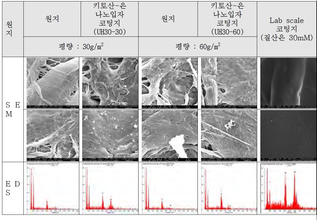 스프레이 코팅공정을 활용한 키토산-은 나노입자 코팅지의 SEM 분석