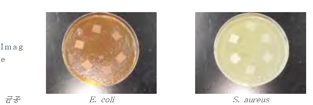 키토산-은 나노입자 코팅지(UH30-30, UH30-60)의 항균성 분석