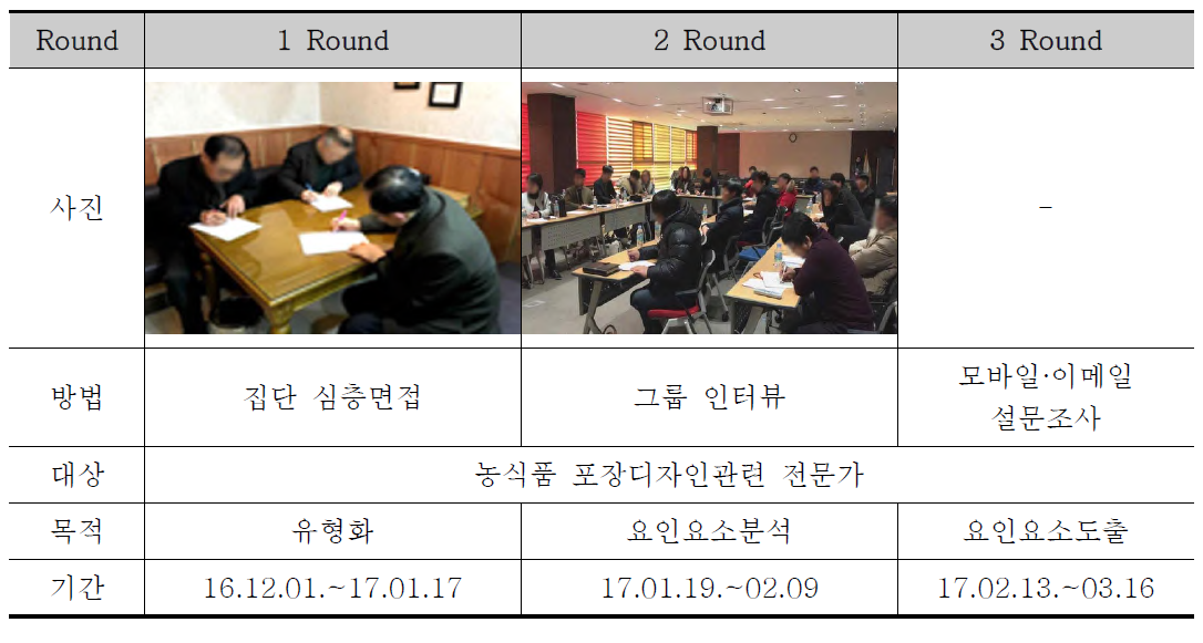 전문가 델파이 개요