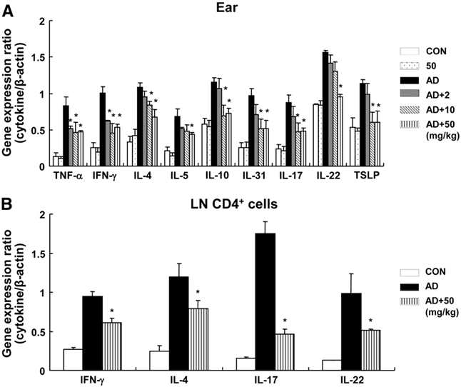 아토피 mouse 귀조직 pro-inflammatory cytokine/chemokine 및 림프노드 Th1/Th2/Th17/Th22 세포 확인 결과
