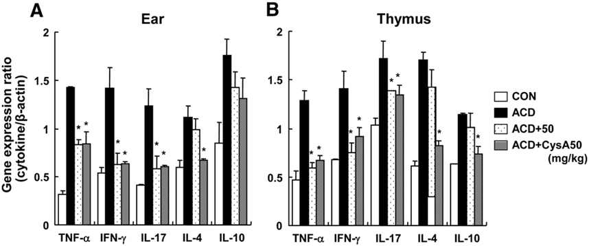 Local lymph node assay 동물모델에서의 귀조직 및 thymus의 pro-inflammatory cytokine 측정 결과
