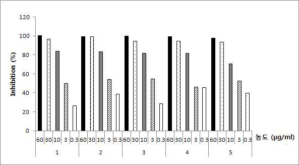 추출 조건별 IL6/STAT3-dependent luciferase assay 결과