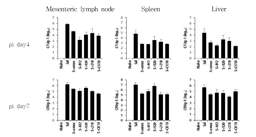 유산균 투여에 따른 주요 장기(장관막림프절, 비장, 간) 내 잔존하는 S. Typhimurium 측정