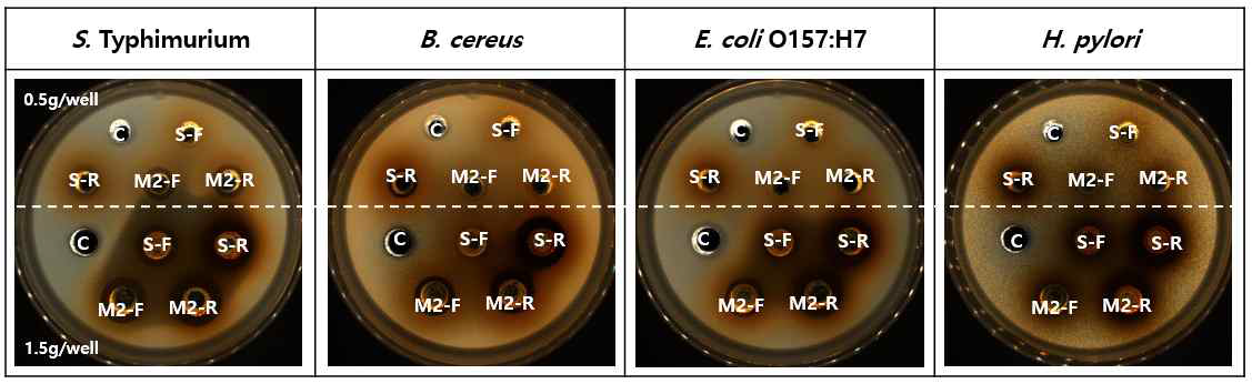 M2 유산균 첨가 김치 추출물의 항균활성. S. Typhimurium KCCM40253, B. cereus KCCM11773, E. coli O157:H7 KCCM11234, H. pylori DSM10242. C, negative control (80% EtOH+DMSO=1:1); S-F, 담금직후 표준김 치; S-R, 적숙기 표준김치; M2-F, 담금직후 M2 첨가 김치; M2-R, 적숙기 M2 첨가 김치.