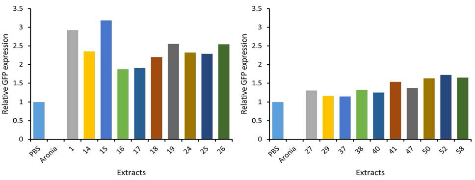 녹색형광단백질의 발현을 통한 항바이러스 효능평가 결과(Spectrophotometer)