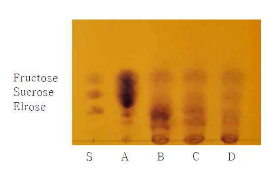 효모 처리한 고과당시럽의 TLC