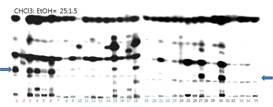 꿀 DNPH유도체의 thin layer chromatogram