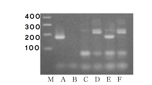 PCR를 이용한 토종꿀과 잡화꿀의 판별