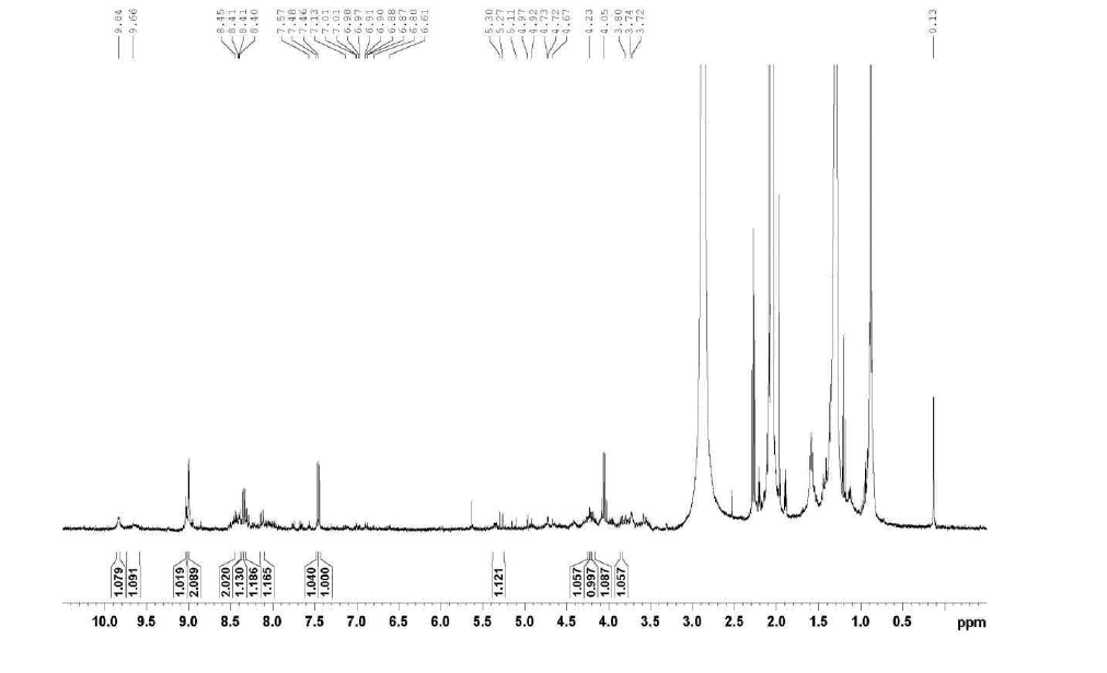 설탕지표물질의 1H-NMR