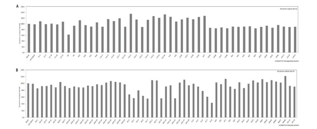 전통장류에서 분리한 균주에서 티라민 저감률 비교.