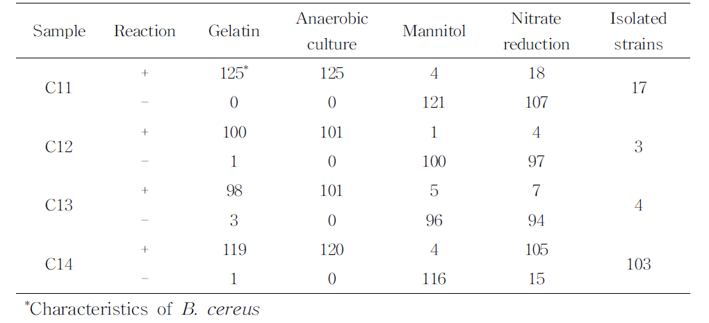 B.cereus의 동정을 위한 생화학적 검사 결과