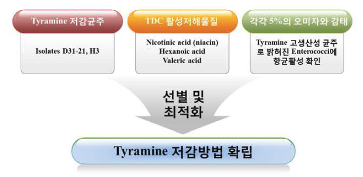 장류에서 티라민 제어방법