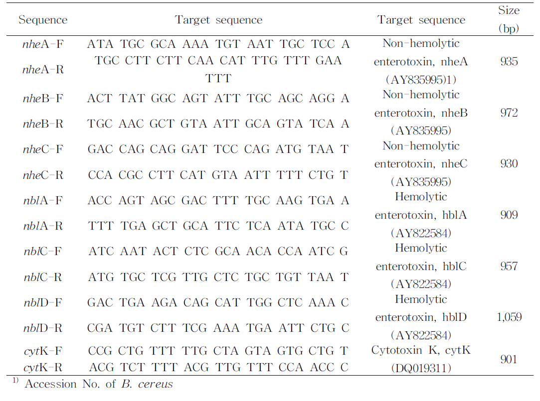 B.cereus독소 유전자 검출 prime