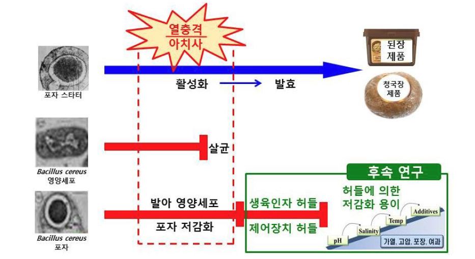 Bacillus 속 균종 간의 내열성 차이를 이용한 Bacillus cereus 저감화