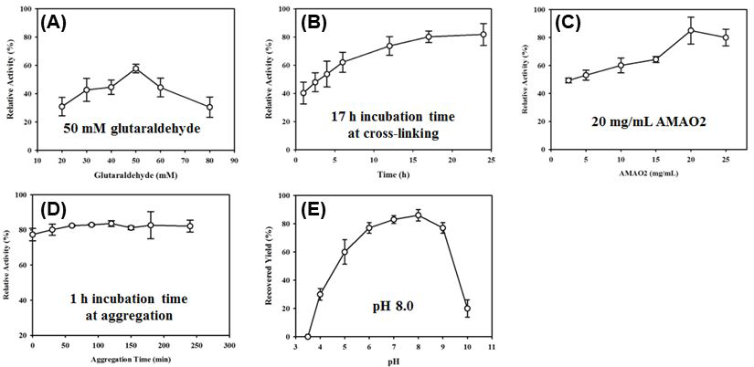 각 요소 별 CLEAs-MAO 회복 수율 변화 (A)GA 농도,(B)cross-linking 시간,(C)AMAO2농도,(D)aggregation시간,(E)pH