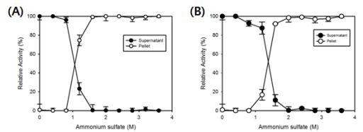 암모늄설페이트 침전 후 상등액 및 pellet내 아민산화효소 활성 (A)모노아민산 화효소 화성 (B)푸트레신 산화효소 활성