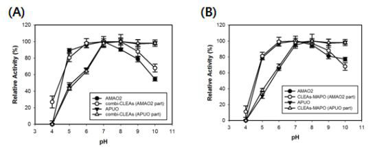 효소 안정성에 대한 pH 효과. (A) AMAO2 (●), APUO (▼) 및 combi-CLEAs(모노아민산화효소활성(◯),푸트레신 산화효소 활성(△))(B)MAPO (●) 및 CLEAs-MAPO (◯)의 모노아민산화효소 활성,MAPO (▼)및 CLEAs-MAPO(△)의 푸트레신 산화효소 활성