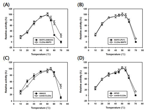 효소활성에 대한 온도의 효과 (A)MAPO와 CLEAs-MAPO의 모노아민산화효소 활성 비교,(B)MAPO와 CLEAs-MAPO의 푸트레신산화효소 활성 비교 (C)AMAO2와 combi-CLEAs의 모노아민산화효소 활성 비교,(D)APUO와 combi-CLEAs의 푸트레신산화 효소 활성 비교