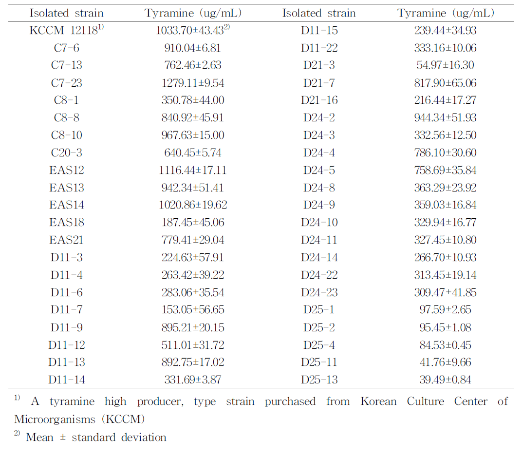 1차 스크리닝 후 선택된 분리균주의 티라민 생산성 비교