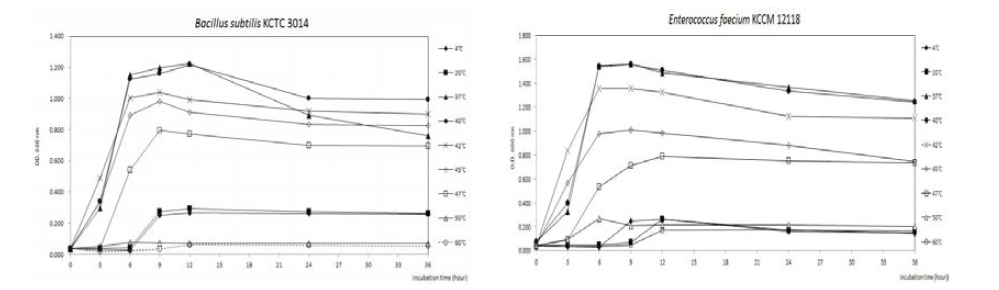 온도 차이에 따른 실험균주의 생육곡선 비교.B.subtilis KCTC 3014 as a fermentedstartercultureandE.faecium KCCM 12118asatyraminehighproducer