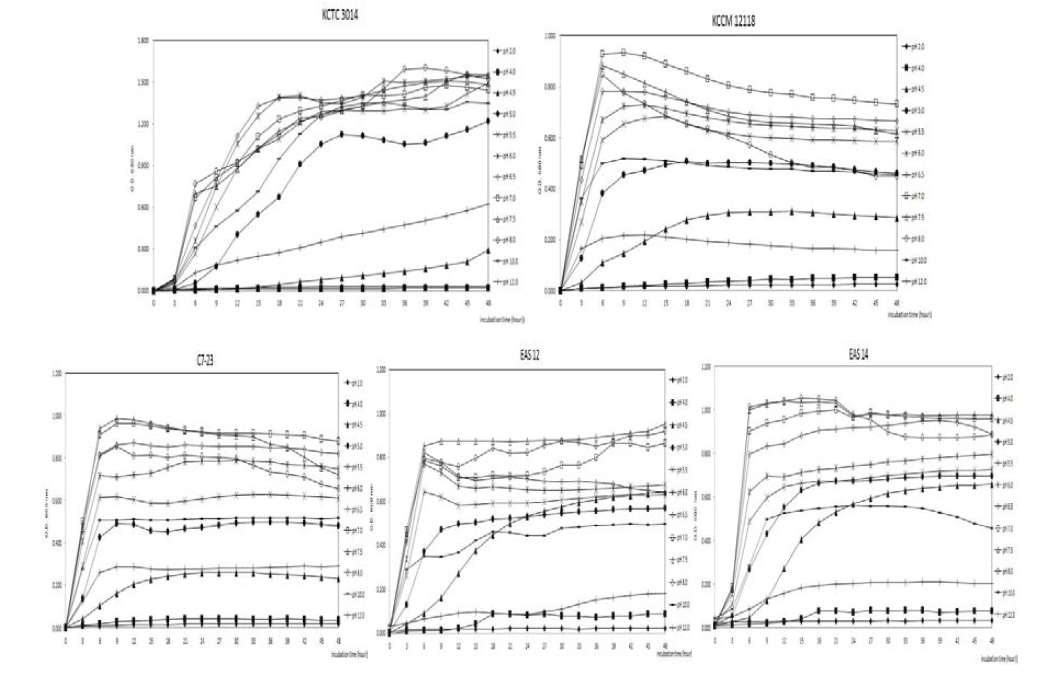 pH 차이에 따른 실험균주의 생육곡선 비교.
