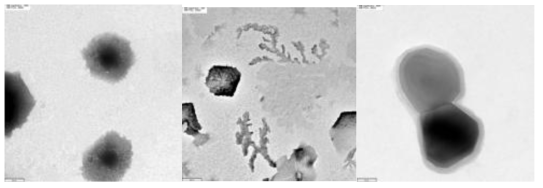 TEM images, first picture & middle picture: CD:FE (1:1), last picture: PCL:FE (1:1)