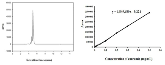 HPLC spectrum과 커큐민의 표준곡선.