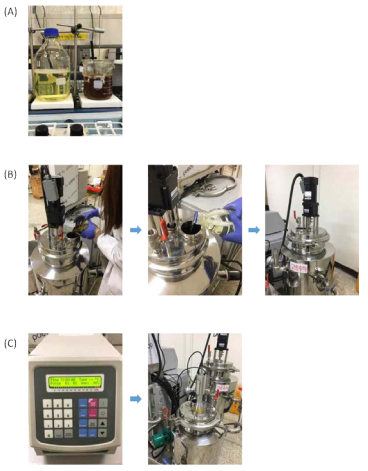 Plant-scale의 강황추출물 나노에멀젼 제조를 위한 (A) 혼합 및 (B, C) 균질화 공정.