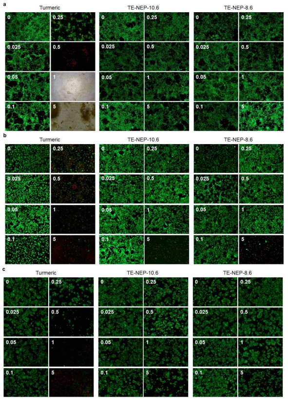 NIH3T3 Live/Dead assay, b. H9C2 Live/Dead assay, c. HepG2 Live/Dead assay