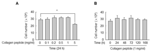 RAW264.7세포에서 저분자화 된 콜라겐 펩타이드의 세포독성 분석