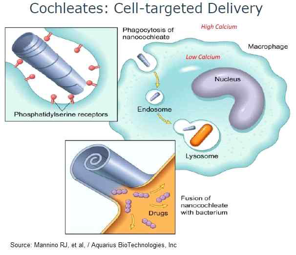 Biodelivery science international (미국) nanocochleate.