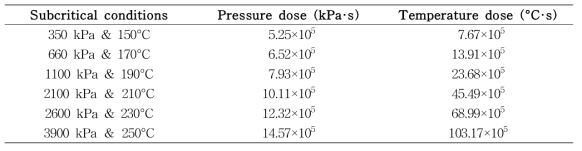 아임계 처리 공정 최적화를 위한 pressure & temperature dose