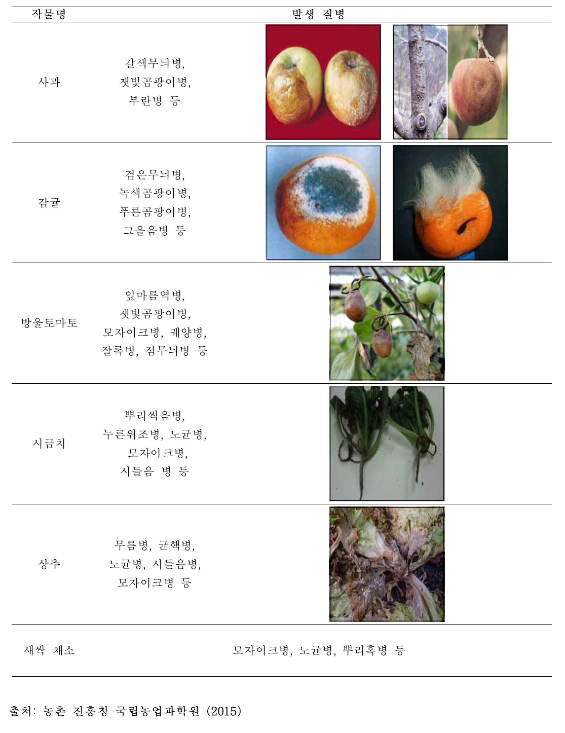 미생물 오염에 따른 6종 농산물 발생 질병