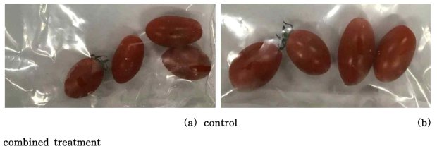 선정된 천연 항균 물질과 기존 살균 물질의 병합 처리 후 방울토마토 4°C 저장 10일차