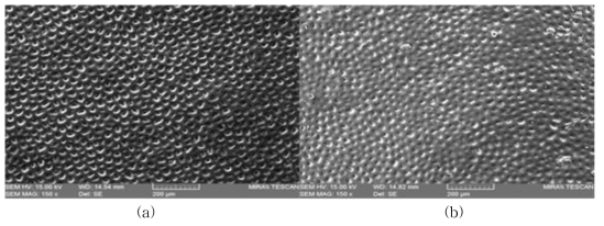 Representative SEM micrographs of tomato skins before (a) and after (b) microwave powered cold plasma treatment using He as a cold plasma forming gas at 900 W for 10 min. Scale bars: 200 μm.