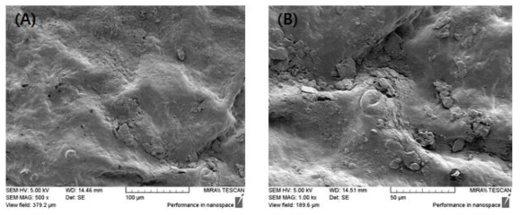 Scanning electron microscopy images of surface of Satsuma mandarin peel treated with cold plasma at 35.2 kV for 2 min.