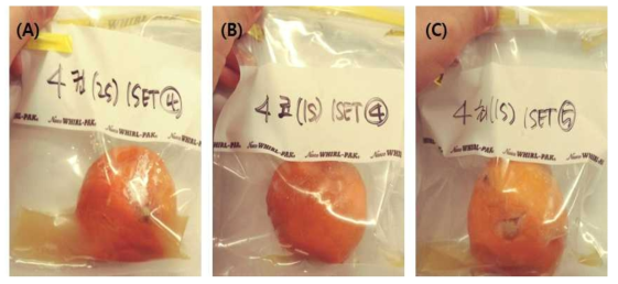 Effect of emerged treatment of CaO-coating (coating incorporated 1% grapefruits seed extracts (w/w) based carnauba wax after washing treatment with 0.2% CaO (w/w) water solution) on the disease incidence (%) of whole mandarin fruits during storage