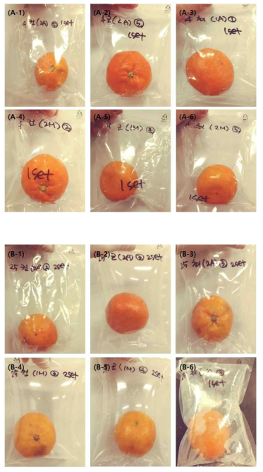 Effect of emerged treatment of modified atmosphere packaging (MAP) with CaO-coating (coating incorporated 1% grapefruits seed extracts (w/w) based carnauba wax after washing treatment with 0.2% CaO (w/w) water solution) on the disease incidence (%) of whole mandarin fruits during storage