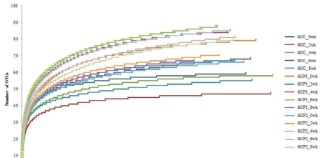 고다치즈의 16S rRNA V1/V3 regions를 파이로시퀀싱을 통한 Rarefaction analysis.