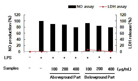 삼채 지상부 및 지하부(뿌리) 100% EtOH 추출물에 대한 항염증 효능 평가 비교