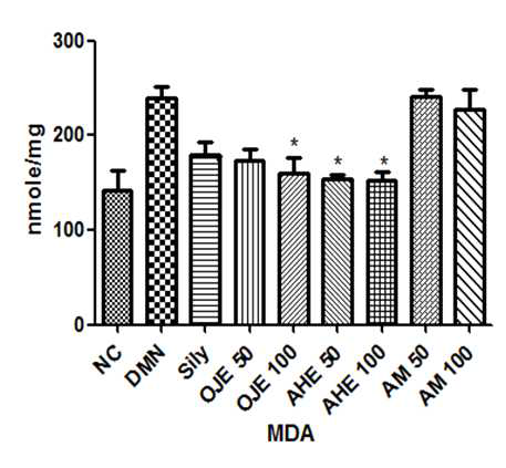 간독성 유도 동물 모델에서 간 조직 내 MDA 함량