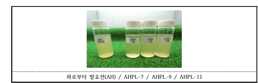 Allium hookeri fermentation product cultivating P. linteus substrate Alliumhookeri