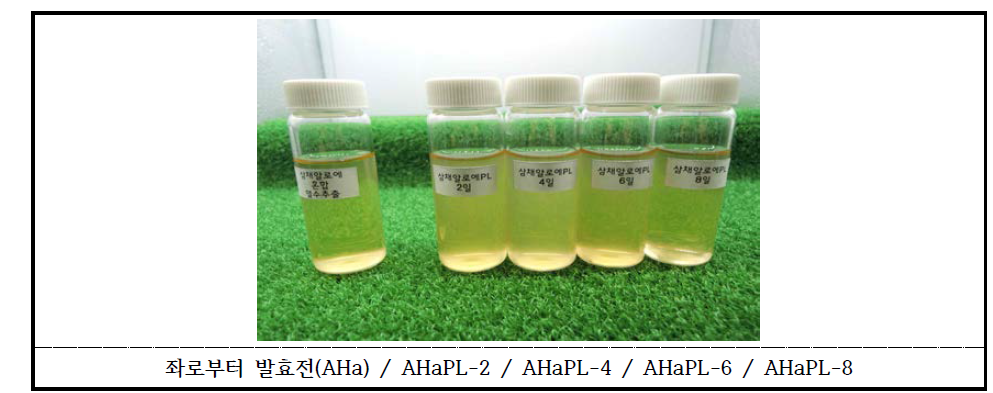 Allium hookeri-Aloe fermentation product cultivating P. linteus substrate Allium hookeri -Aloe