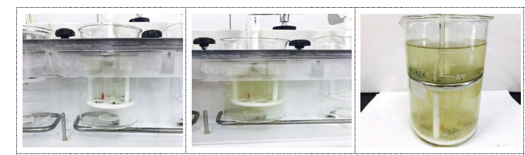 표고버섯추출농축액 환제형의 단계별 붕해 진행 사진
