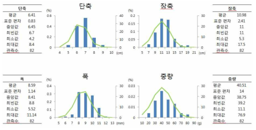 천년초 줄기(여름)의 외형 측정 결과