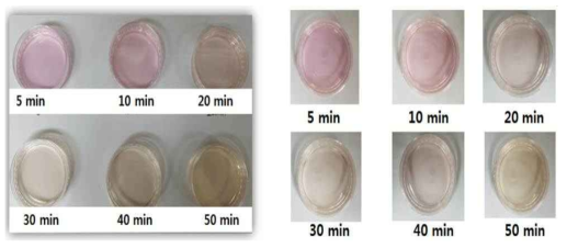 90℃에서 시간에 따른 천년초 열매의 추출물 색도 변화