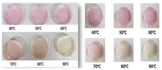 추출온도에 따른 천년초 열매의 추출물 색도 변화